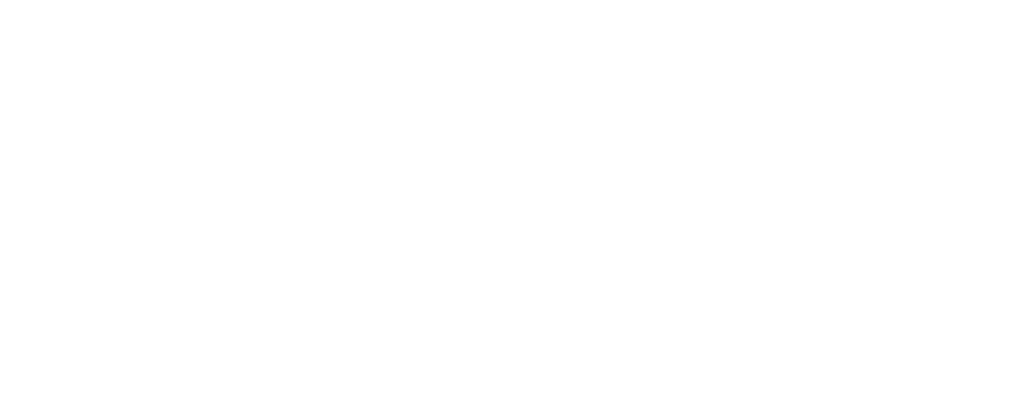 Leuven-logo-white-horizontal-rgb